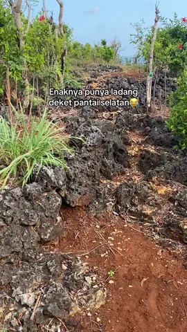 Biasanya kalo gak capek banget aku suka ke bawah tebing, cuman kali ini cukup lihat viewnya dari atas aja✨😃 #pantaiselatan #girisubo #gunungkidul #jogja