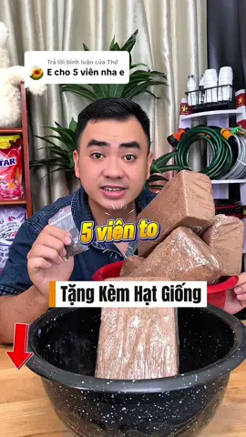 Trả lời @Thứ combo 5 viên nén sơ dừa tặng kèm hạt giống f1#viennenxodua#viennenxoduatrongcay