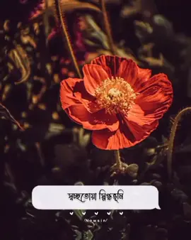 #ইসলামের_পথে_এসো😍