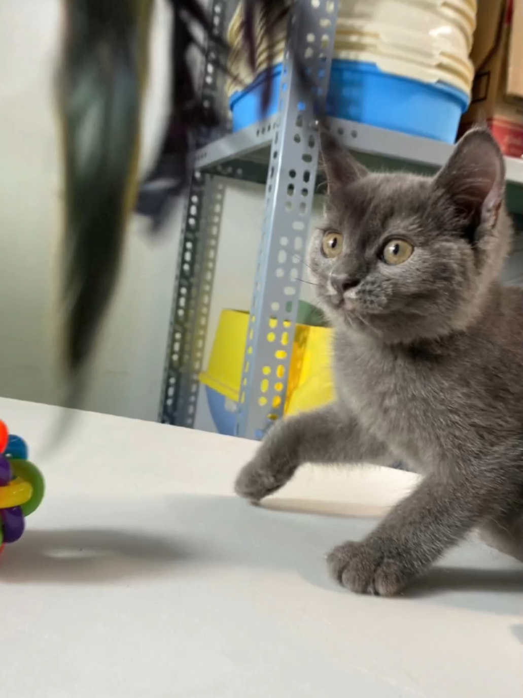 Về Cần Thơ trong đêm luôn ạ #cat #kpet #65cantho #tìmnhà #xuhuong 