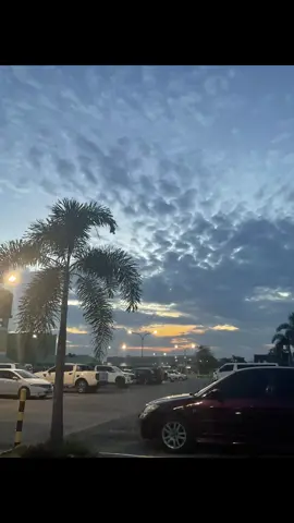 free to used!|§§#livephoto #freetoused #lvphot #sunsetlover #sunsetvibes🌅 