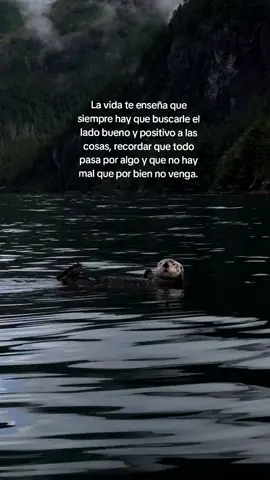 mal que por bien no venga #positivo #vida #feeling #paisajes #loveyou 