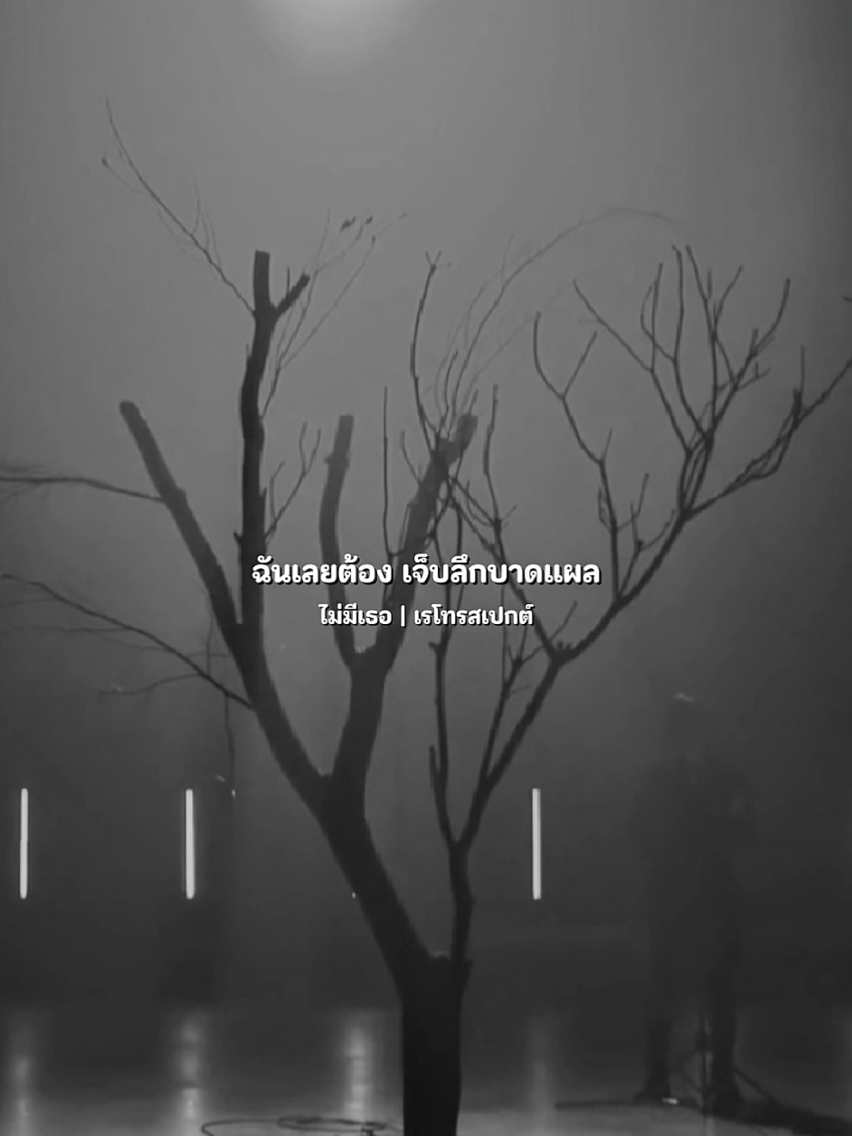 ไม่มี(มึง)เธอ Retrospect และเรโทรสเปกต์ พ.ศ. 2550