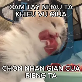 van vat nhu muon ta ben nhau… #xh #fyp #xuhuong #viral #rio 
