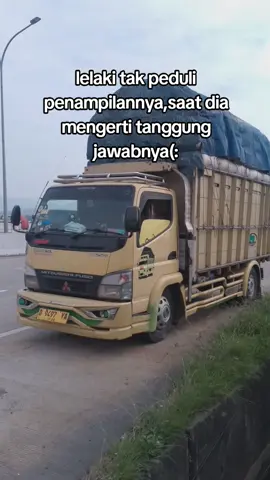 #fypシ゚viral #fyppppppppppppppppppppppp #trukmaniaindonesia #truk_sayur_pangalengan 