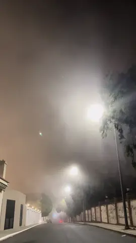 الهدا🥺❤️❤️. #الهدا #ضباب #fyp #foryou #explore #tiktok #Taif #الطايف #اخر_الليل 