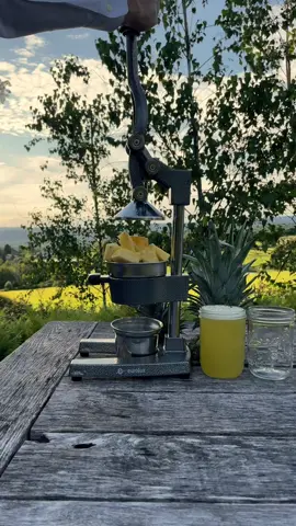 Pineapple Juice ASMR! 🍍☺️ #asmr #juicer #pineapplejuice #fyp #farmlife 