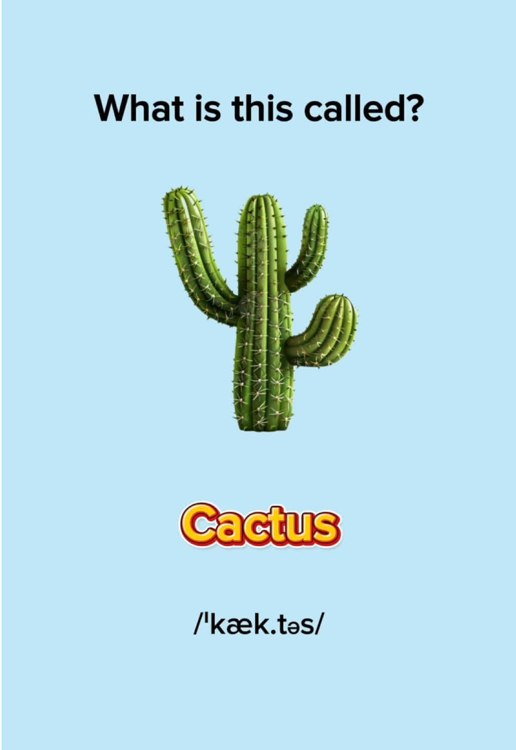 Plants and Trees in English 🌿 #LearnEnglish #EnglishLesson #EnglishPractice #EnglishVocabulary #EnglishWords #EnglishQuiz #EnglishGrammar #ImproveYourEnglish #englishtiktok #EduTok #EnglishMinute 