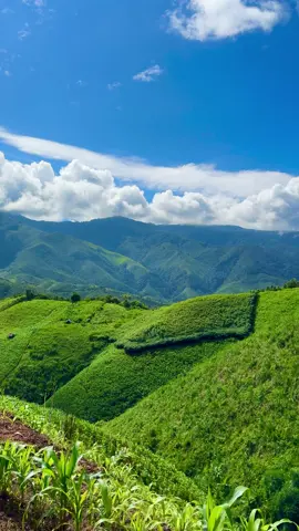 ออกไปสูดอากาศให้เต็ม🌳🌾🌱 #ฮีลใจ #น่าน #บ้านห้วยหมี #บ้านห้วยโทน #ธรรมชาติ 