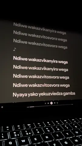 Wakazvikanyira wega - System Tazvida #applemusic #lyrics #zimbabwetiktok🇿🇼🇿🇼🇿🇼🇿🇼 