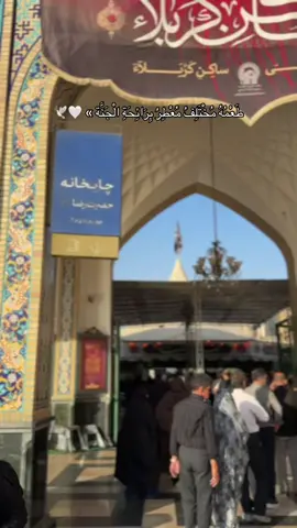 طعمهُ مُختلف ، كَيف لا وهو مُعَطر برِائحة الجَنة ؟ إنهُ شاي الرضا و هذه أعذب رَشفة على حُب صَاحب الرأفة من شاي العشق الرضوي في جَنة السُلطان🤍🕊️ #مشهد #رضا_جان #ترند #explore #fyp 