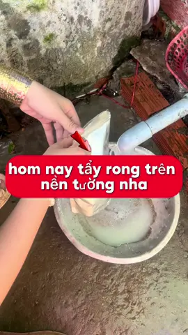 tẩy rong trên nền tuong luon nha #bottayrongreu #thịnhhành 