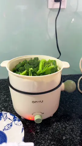 Nồi điện mini đa năng #noidien #noidienmini #noidienminidanang #hanh26266 #giadungtienich 