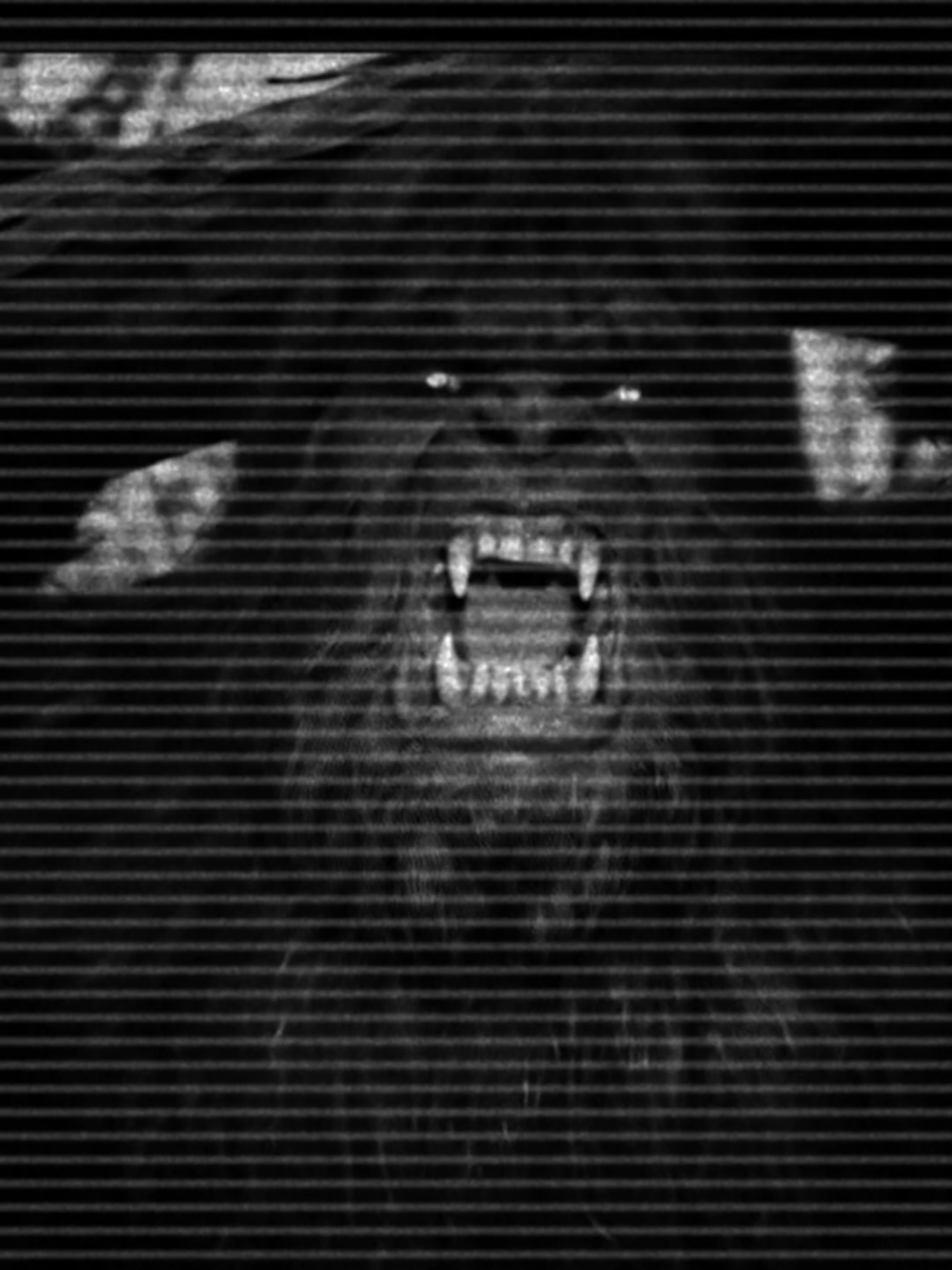 🚨¿Pie Grande EXISTE? La Historia bigfoot ¿Qué hay de verdad detrás de la criatura más famosa de los bosques de Norteamérica? 🌲 En este video exploramos la historia COMPLETA de Pie Grande, desde sus raíces en las leyendas de los pueblos nativos americanos hasta los supuestos avistamientos y evidencias más impactantes de la era moderna.#PieGrande #Bigfoot #Sasquatch #Misterio #LeyendasUrbanas #Criptozoologia #Terror