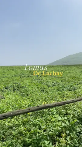 📍 Lomas de Lachay 🍃 . . . #lomasdelachay #fyp #findesemana #paratiiiiiiiiiiiiiiiiiiiiiiiiiiiiiii 