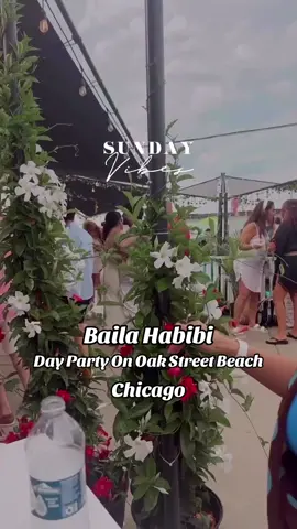Sunday fun day at the beach 🏖️ #chicago #lakemichigan #chitown #oakstreetbeach #cnepresents