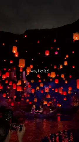 The Tangled ride at DisneySea was pure magic… I ugly cried and I’m not even sorry 🥲✨ #japan #disneysea #tangled #tokyo 