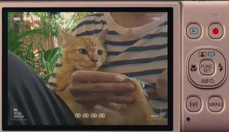 behave ang woola. 😌 #catsoftiktok 