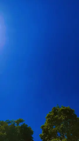 yang aku pakek belinya di keranjang kuning 🔥🙏#promomakanmerdeka #fyp 