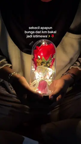 mungkin ini ga seberapa tapi cwe mana sinyg ga suka di kasih bunga🥹😖#giftboxbunga #mawarled #bungamawarled #idekadocewek #kadobuatcewek 