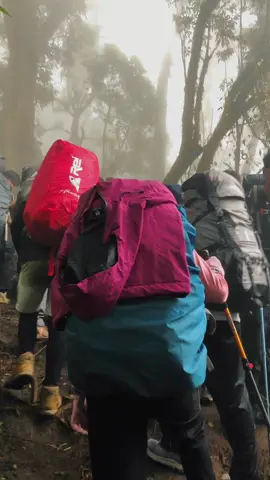 Pesona pendaki gendong carier 🥵#indonesia #pendakigunung #gunung #pendaki #mtslamet3428mdpl #slametmountain #fyp #fypシ゚viral #fypage #viral #viralvideo #soundviral 