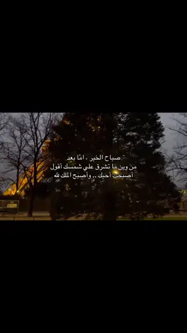 #W #12 #fyp #شعر #fyppppppppppppppppppppppp 