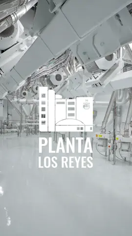 Planta Los Reyes! Aquí se producen las Mejores Harinas de México! #HarinasElizondo #HarinaDeTrigo #HechoEnMexico🇲🇽 #Molino #Produccion