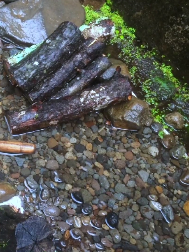 I love raining season 😋🙌🏻  . . . . #ghibli #minivlog #provincelife #xyzbcafypシ #fypシ゚