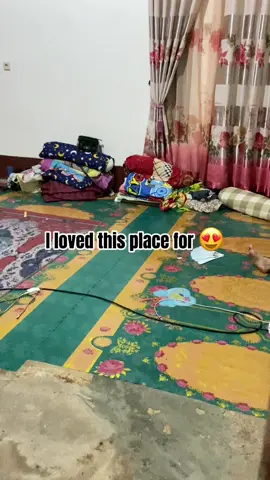 Siapa yang masih gamon vibes kkm?