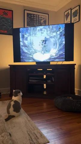 Lisa Left eye Lopes’s verse here 😮‍💨🔥 #TLC #90skids #catsoftiktok #cat 