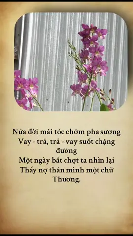 #trietlycuocsong #phatphapnhiemmau🙏🙏🙏 #nammoadidaphat🙏🍀🌹 #tinhthuc #nguyenlynguyen 