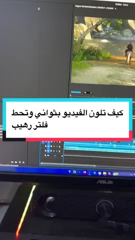 كيف تلون الفيديو او تضيف فلتر بعد قصه على بريمير 