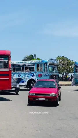 එයා 🩵  #බස්පිස්සා🙈 #bus_club_of_shana #බස්_පිස්සුව😊 #sigiri_exprass_panadura #බස්වීඩියෝ #බස්පිස්සියො🏝️ #බස්_පිස්සුව😊❤ #nonstop 