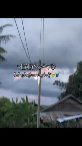 ဒီနှစ်အပြီးကဲပစ်မယ် အသားမဲချင်မဲပါစေ🗿#မူးရင်းပါfy #ဆယ်လီမှအသဲပေးတာလား😔 #တတ်စမ်းကွာfyp😭😢 #အသဲပေးပါနော်❤❤❤ 