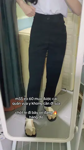 #quantaynu #quandainu #quantaydihoc 