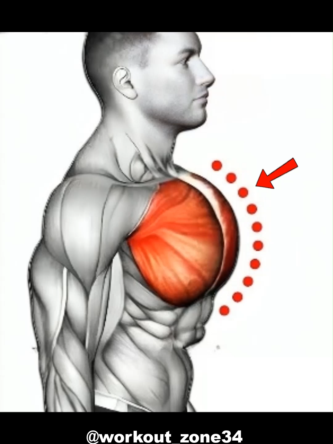 How to get bigger Chest  🔥 #GymTok #muscle #exercise #Fitness #workout #workoutroutine #workouttips #fit #fitnesstips #Chest #Chestworkout #chestday