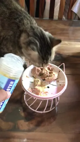 Our trusted brand in terms of appetite booster🥰🙌 @Furrpals #furrpals #furrpalsappetitebooster #appetitebooster #petappetitebooster #petappetiteenhancer 