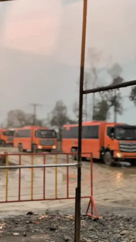 #CapCut #ptrubyinternationalmining #iwip #wedabaynikel🇲🇨🎌 #fypシ゚viral 