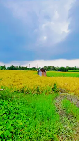 মা এবং  বউ দুইজনই ভালোবাসার মানুষ কিন্তু কে কাকে কি ভাবে ভালোবাসবেন সুনুন 👌❣️#হাদিসের_কথা🥰 #ইসলামিক_ভিডিও_🤲🕋🤲 #সুবানআল্লাহ🤲🤲🤲🤲 #ti̇ktok #foryou 