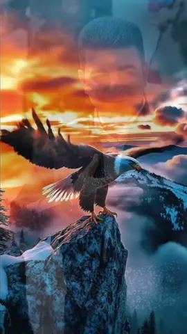 #پشتیوانانی_دکتۆر_دلاوەر_جەوهەر 