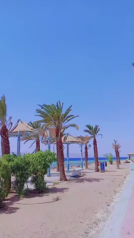 #ما اجمل الحياة عندما ننطر لھا بجانب مشرق وما اجمل عندما تشرق الشمس عندما تشرق اشعة الذهبية في الصباح ليس احلام ولكن اكثر والابتسامة🥰😍 #مي الحمايده 😍 #العقبه الشط الجنوبي ولا اروع🙂 #متابعه_لايك_اكسبلور_احبكم 🌷