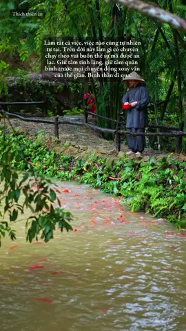 Chùa phật quang - Thôn Tân Phong  - Xã Tân Thanh - Tỉnh Ninh Bình ( Hà Nam Cũ ) #thichthienan 