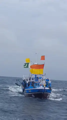 mashallah❤️🤲#foryou #viral #video 