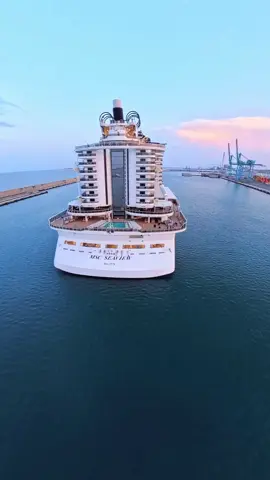 #mscseaview #msccruises #tik_tok 