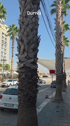 Durrës – ahol a történelem és a tengerpart találkozik 🌊🌴 Fedezd fel az ókori tornyot, a modern sétányt és a homokos partot! #Durres #Albania #Beach  #foryoupage❤️❤️  #Summer2025   Szeretnéd, hogy csináljak 2-3 teljesen különböző stílusú verziót (pl. egyik inkább történelmi, másik inkább nyaralós, harmadik inkább fiatalos-pörgős)?