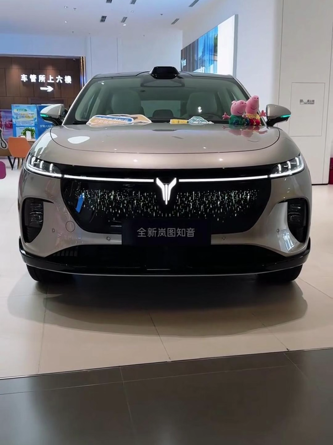 All New Voyah Courage EV 2025