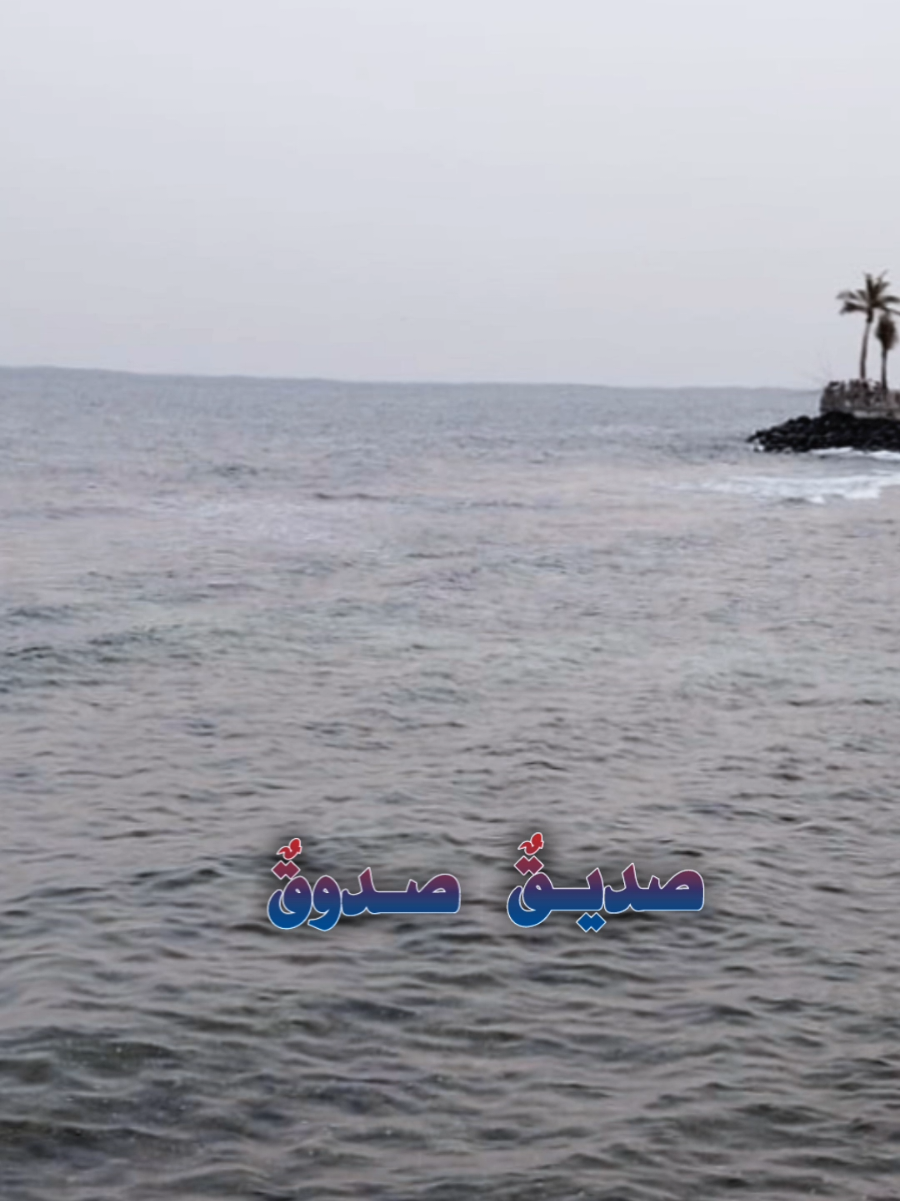 #صديق_صدوق_معي_في_الحياة#أناشيد_بدون_موسيقى_نشيد_أكسبلور_ترند 