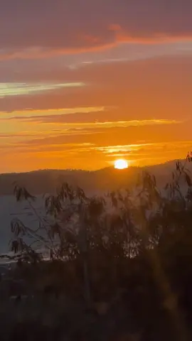 Catching sunsets with the producer of this song 🤪 #fyp #pngtiktok🇵🇬 #viral  @matt keyz ponde replay 