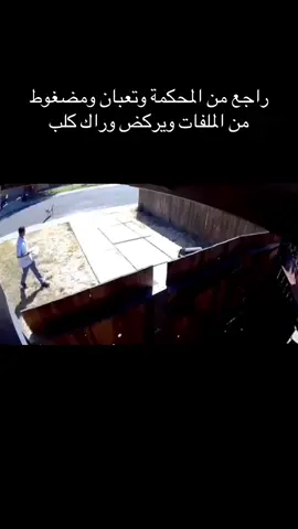 😂⚖️#محكمة #محامي #محامية #القانون #جريمة 