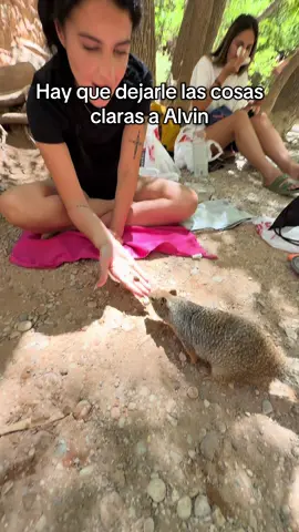 Que lo sepas👍 #humor #parati #risas 